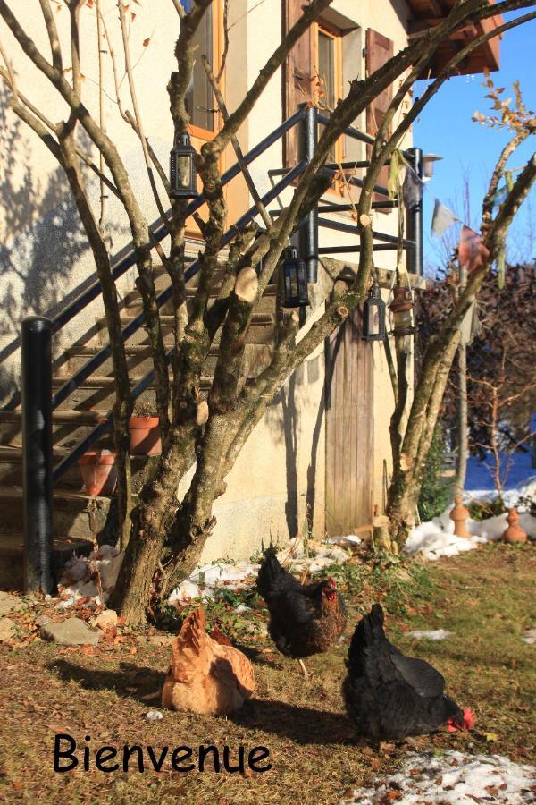 Belladone Guest House Theys Les 7 Laux Екстер'єр фото